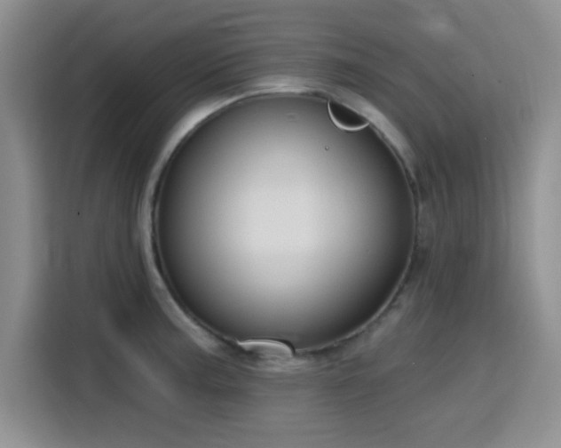 X0000116151187200911231325