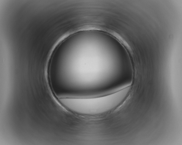 X0000116151189200911231325