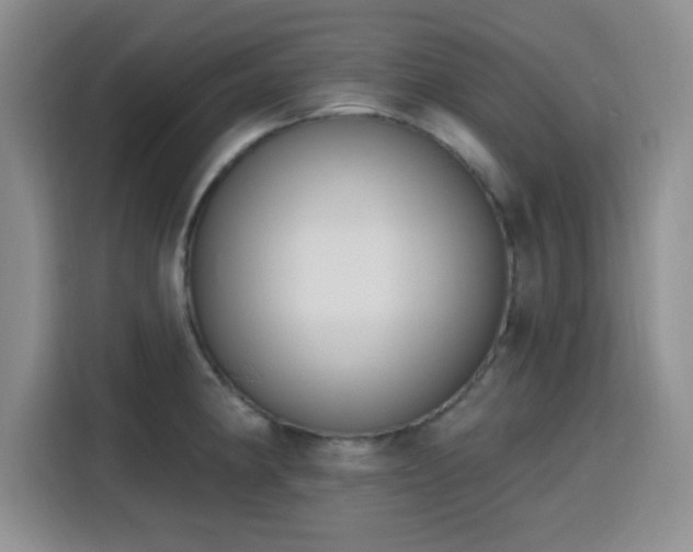 X0000116151190200911231325