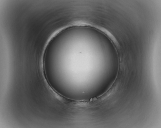 X0000116151191200911231325