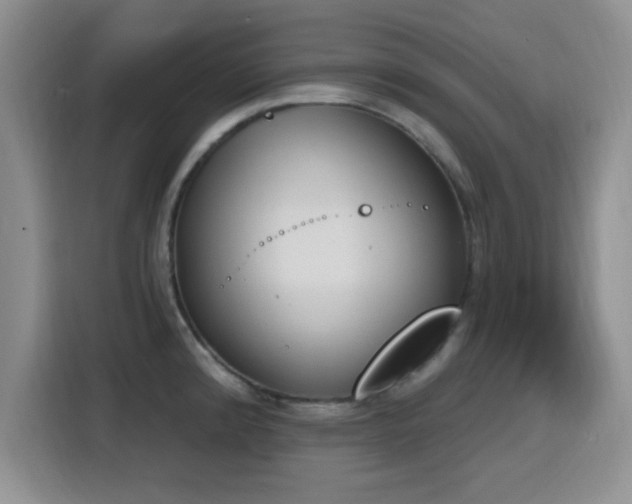 X0000116151192200911231325