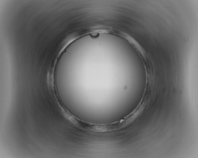 X0000116151194200911231325