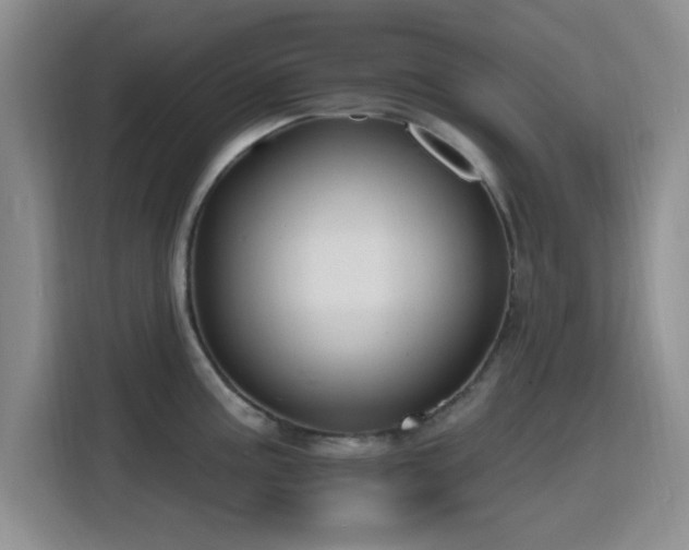 X0000116151195200911231325