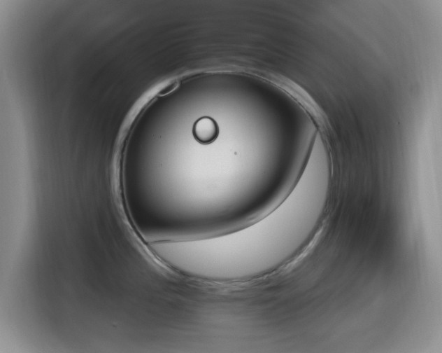 X0000116151196200911231325