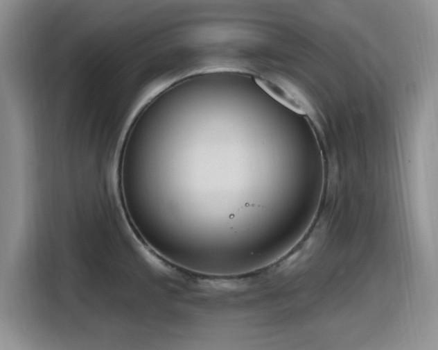 X0000116151197200911231325