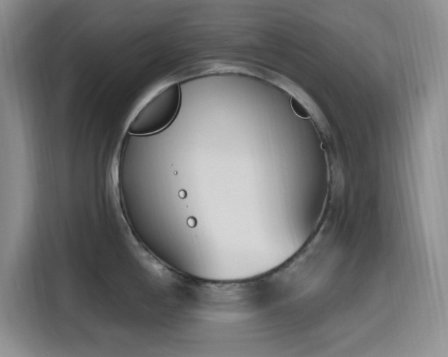 X0000116151198200911231325