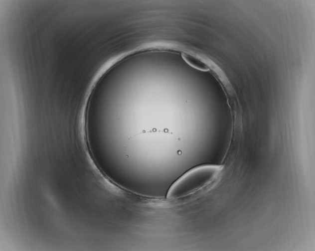 X0000116151199200911231325