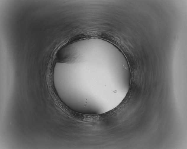 X0000116151201200911231324