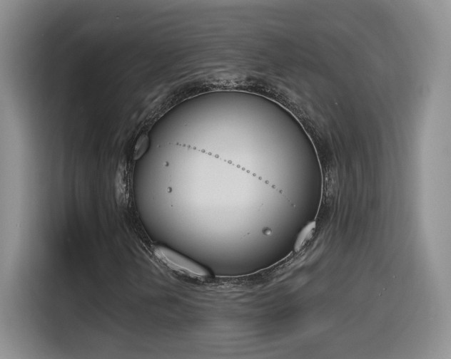 X0000116151202200911231324