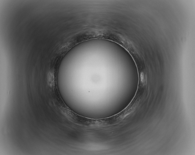 X0000116151203200911231324