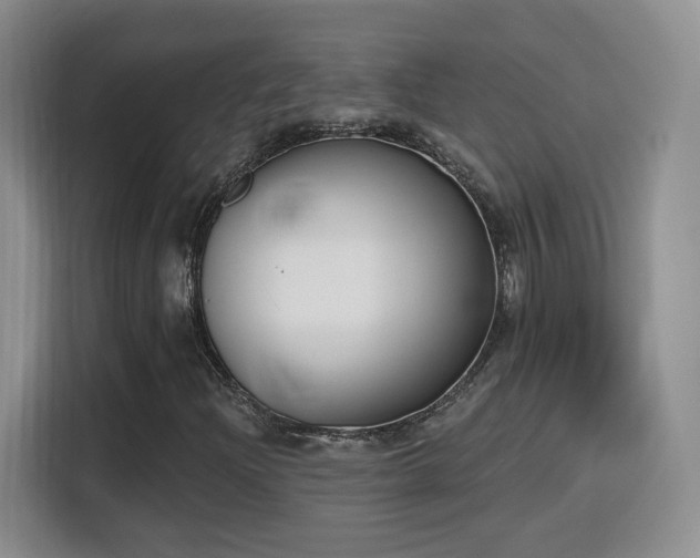 X0000116151204200911231324