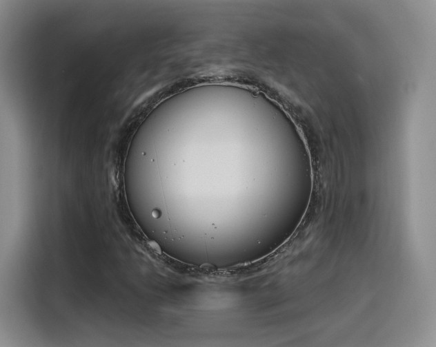 X0000116151206200911231324