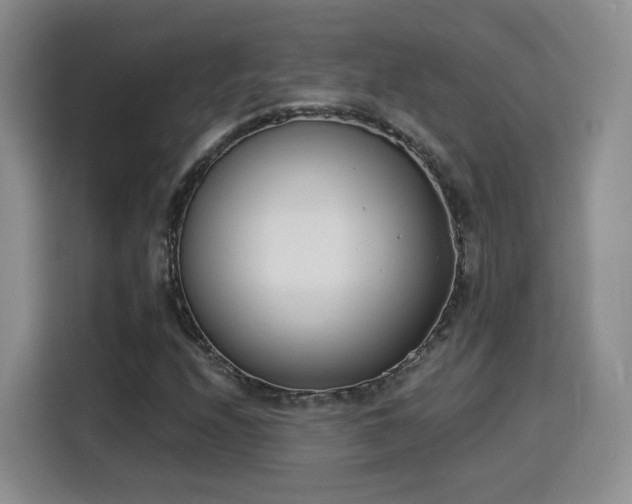 X0000116151208200911231324