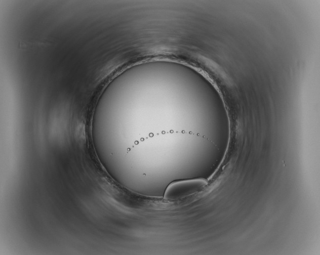 X0000116151209200911231324