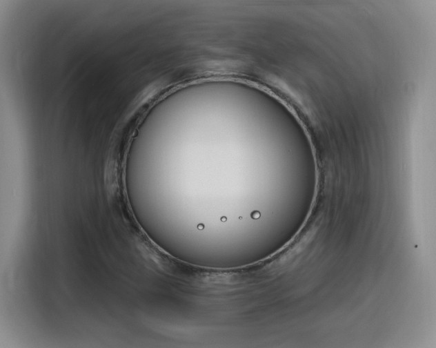 X0000116151211200911231324