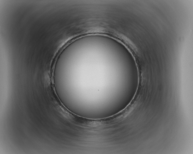 X0000116151212200911231324