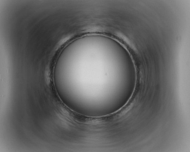 X0000116151213200911231324