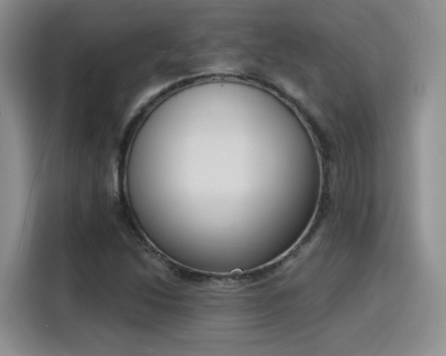 X0000116151214200911231324