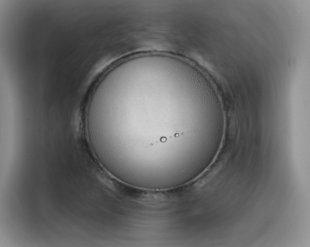 X0000116151215200911231324