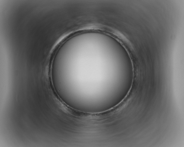 X0000116151216200911231324