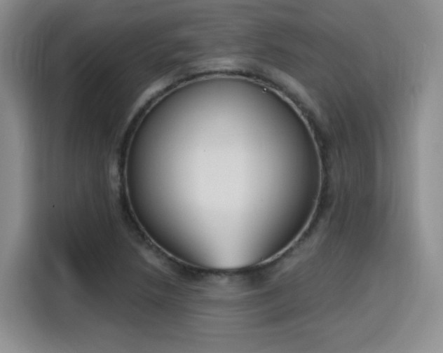 X0000116151218200911231324