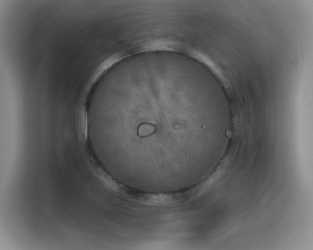 X0000116151219200911231324