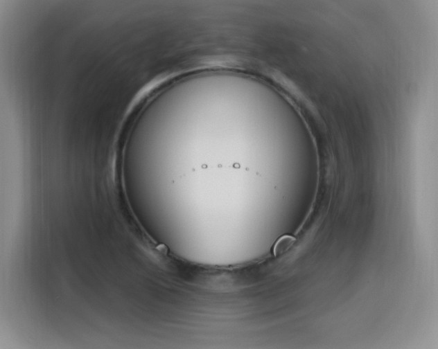 X0000116151222200911231324