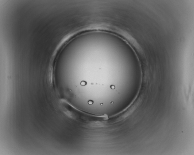 X0000116151224200911231324