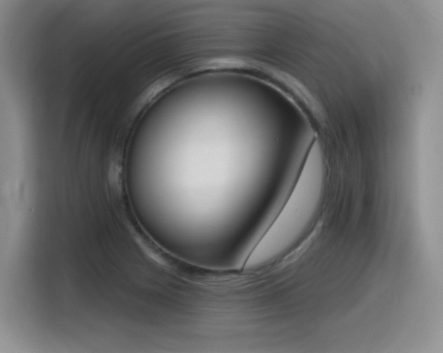 X0000116151225200911231324