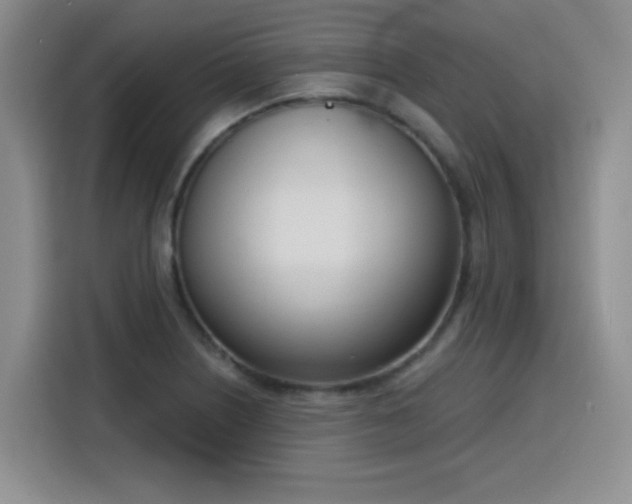 X0000116151226200911231324