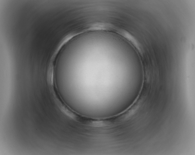 X0000116151227200911231325