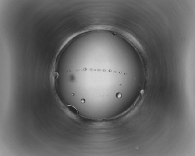 X0000116151228200911231325