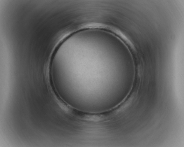 X0000116151229200911231325