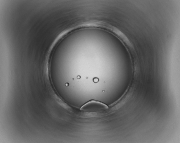 X0000116151232200911231325