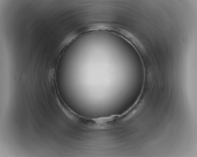 X0000116151233200911231325