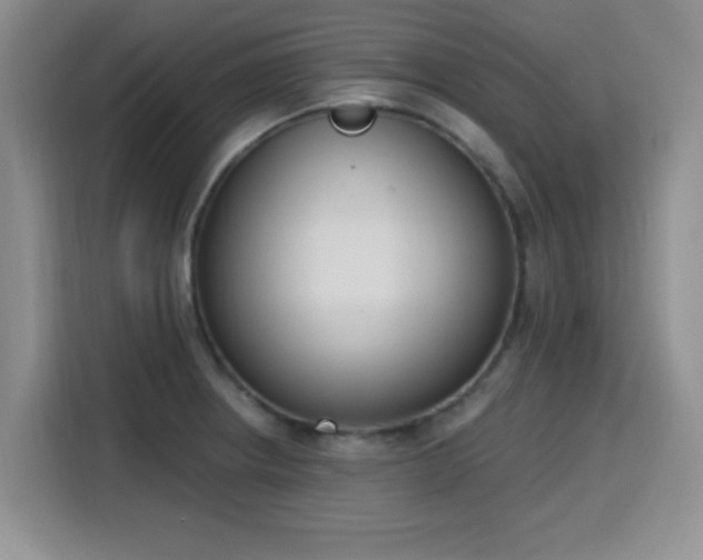 X0000116151234200911231325