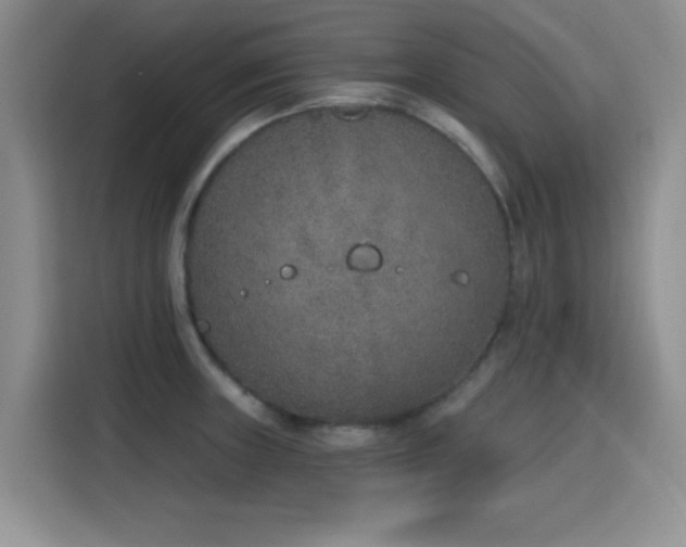 X0000116151235200911231325