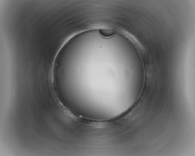 X0000116151236200911231325