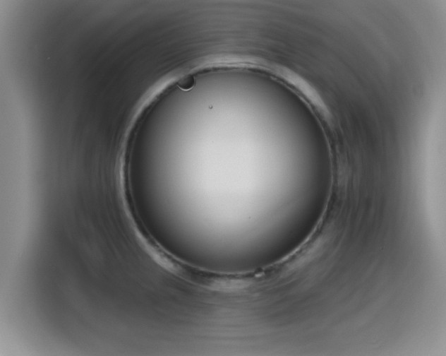 X0000116151237200911231325