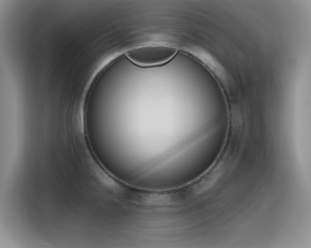 X0000116151238200911231325