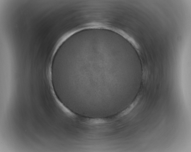 X0000116151239200911231325