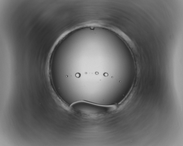 X0000116151240200911231325