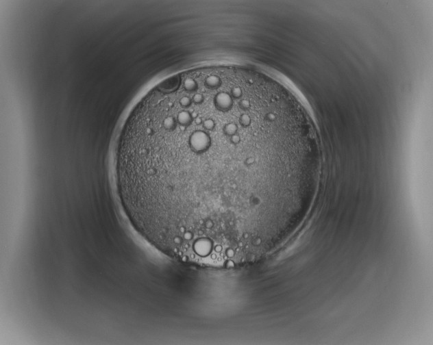 X0000116151243200911231325