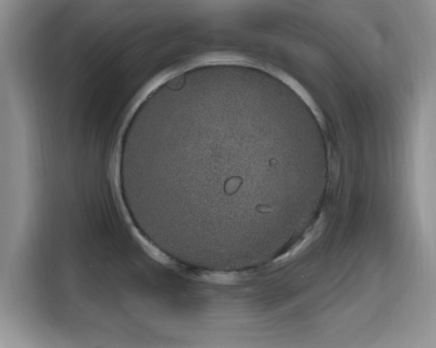 X0000116151245200911231325