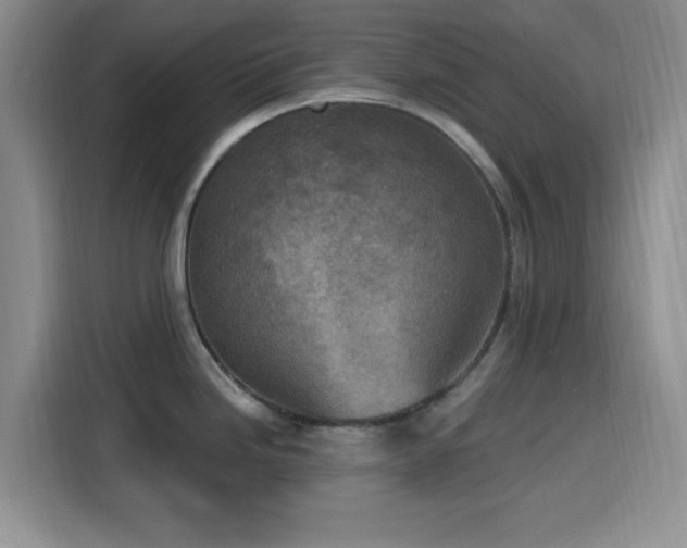 X0000116151246200911231325