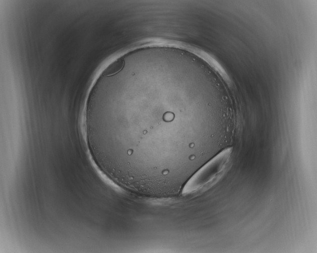 X0000116151247200911231325