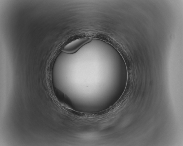 X0000116151249200911231324