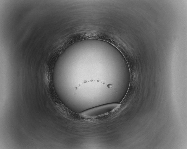 X0000116151250200911231324