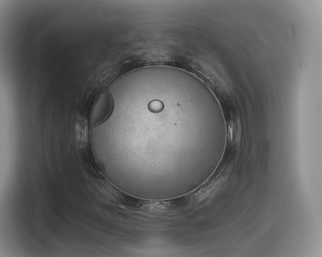 X0000116151251200911231324