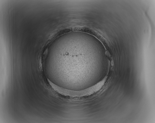 X0000116151252200911231324